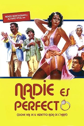 Poster de Nadie es Perfecto