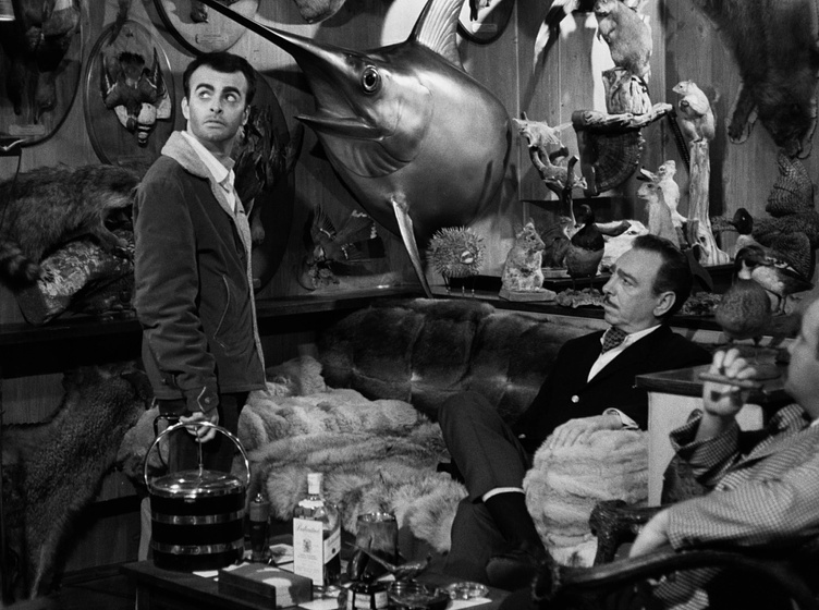 Imagen de confessions-of-a-psycho-cat