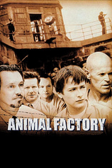 poster of movie Animal factory