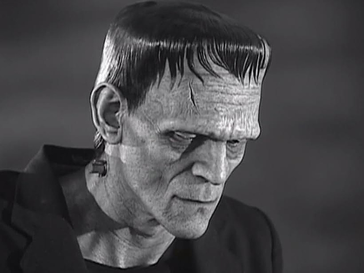 Imagen de Los Archivos de Frankenstein: Cómo Hollywood Creó un Monstruo