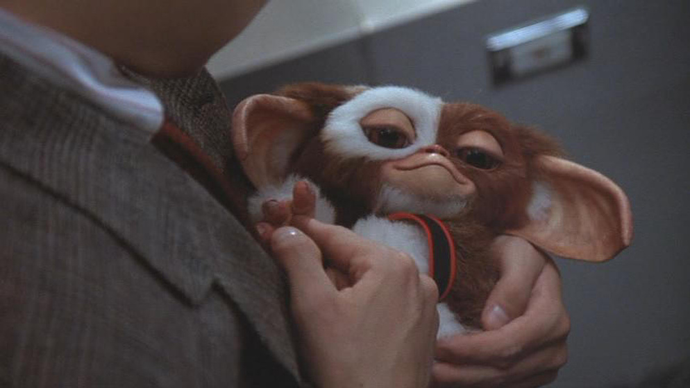 Imagen de Gremlins 2: La nueva generación (Gizmo)