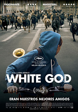 poster of content White God
