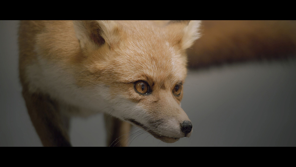 Imagen de lost-for-words