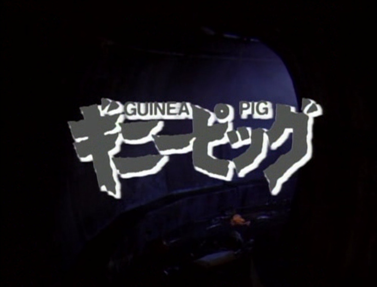 Imagen de guinea-pig-5-mermaid-in-the-manhole