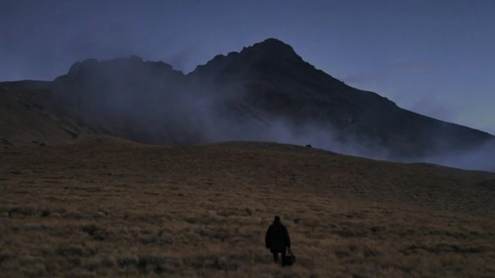 Imagen de halley