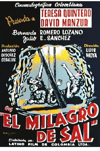Poster de El Milagro de Sal