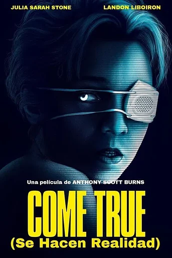 Poster de Come True (Se hacen realidad)