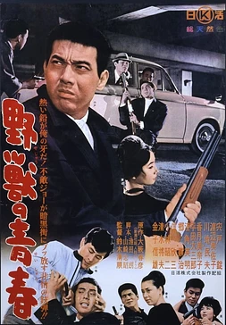 poster of movie Youth of the Beast