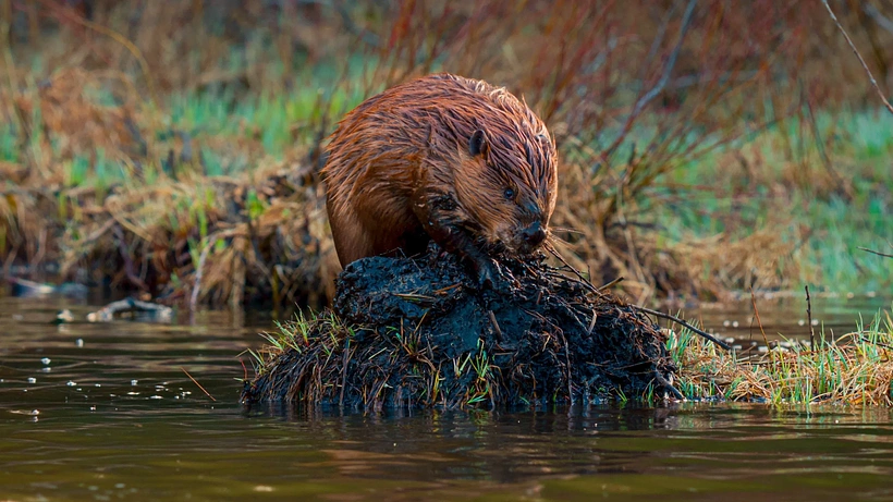 Imagen de The American Southwest