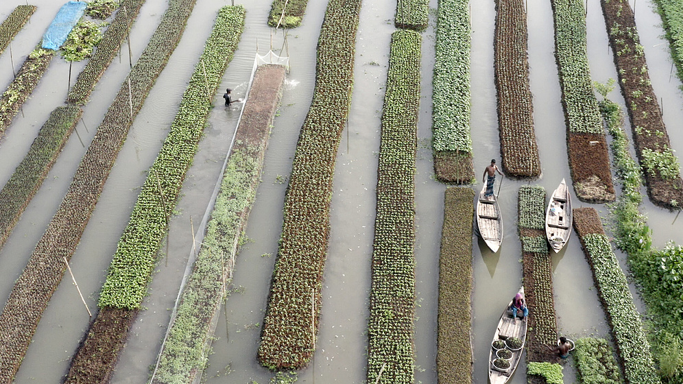 Imagen de elements-of-f-balance