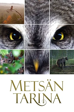 poster of movie Metsän tarina