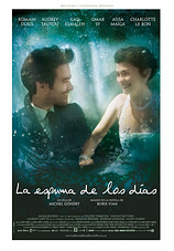 poster of movie La Espuma de los Días