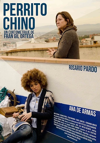 Poster de Perrito Chino