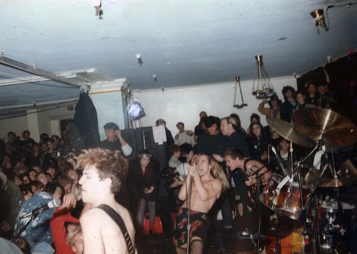 Imagen de The Rise of the Red Hot Chili Peppers: Our Brother, Hillel