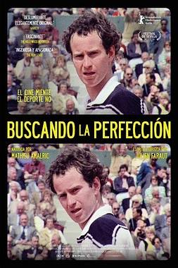 poster of movie Buscando la Perfección