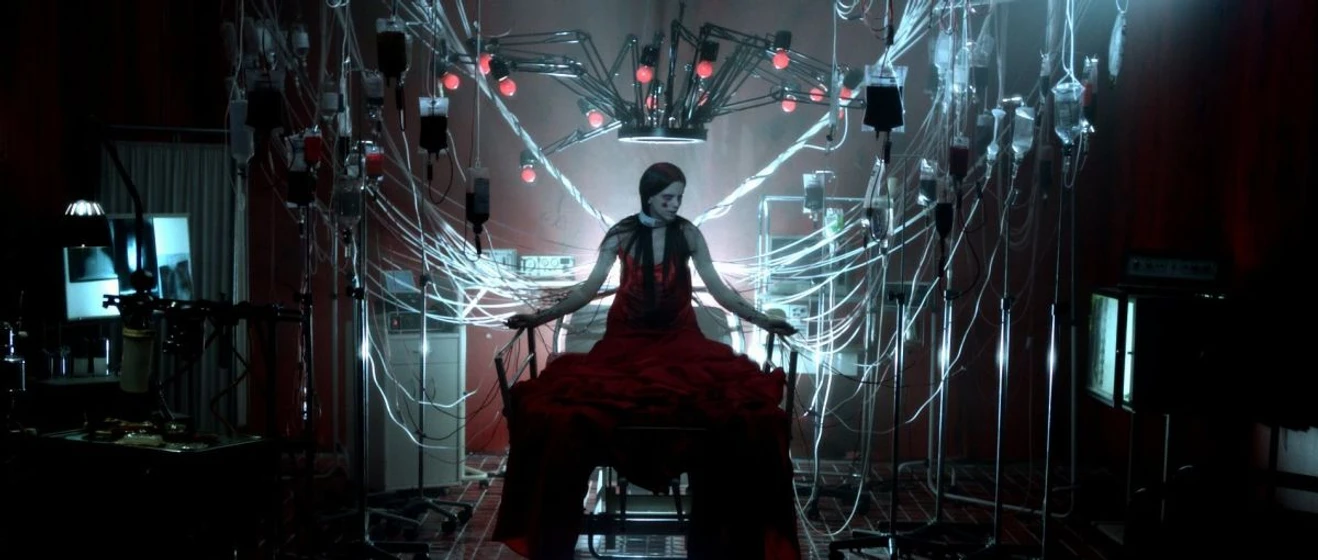 Imagen de blink