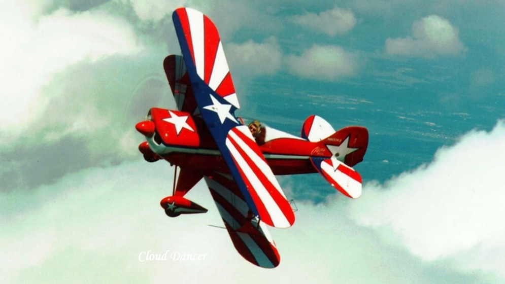 Imagen de El Desafío del Cóndor