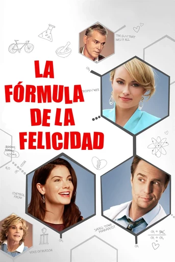 Poster de La Fórmula de la Felicidad