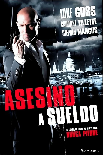 Poster de Asesino a Sueldo