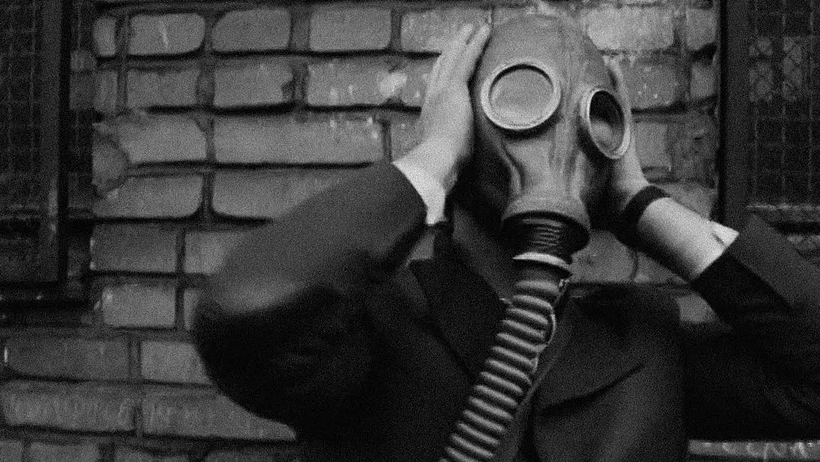 Imagen de A Year in the Life of the Country