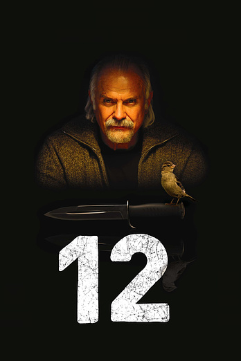 poster of content 12