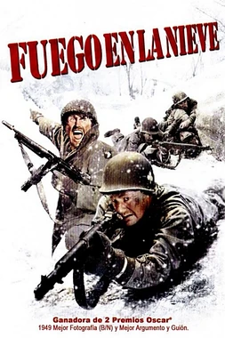 poster of movie Fuego en la nieve