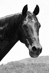 picture of actor Highland Dale