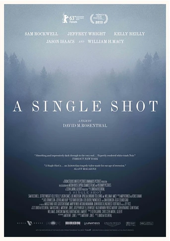 Poster de A Single Shot