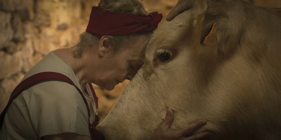 Isabel Rocatti en cowgirl