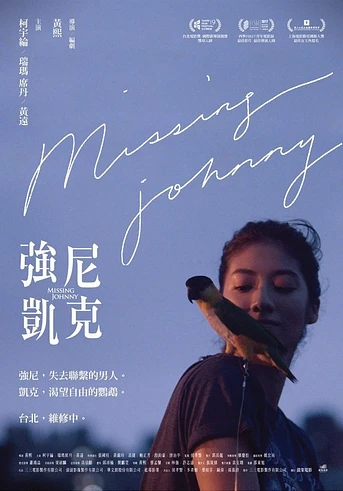 Poster de Missing Johnny