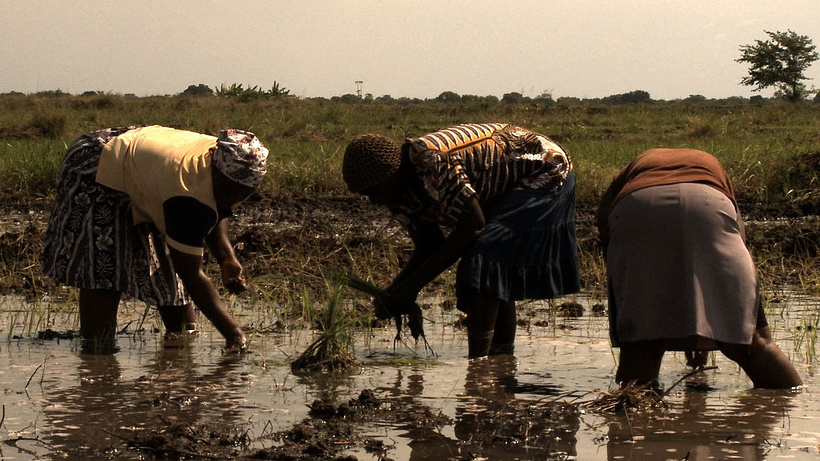 Imagen de Voces desde Mozambique