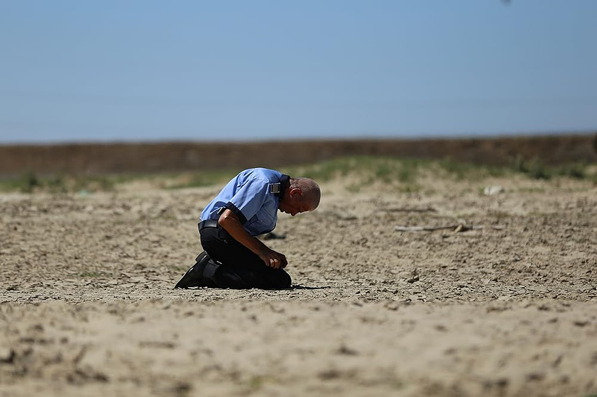 Gheorghe Visu en dogs