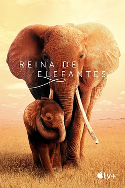 poster of movie Reina de Elefantes