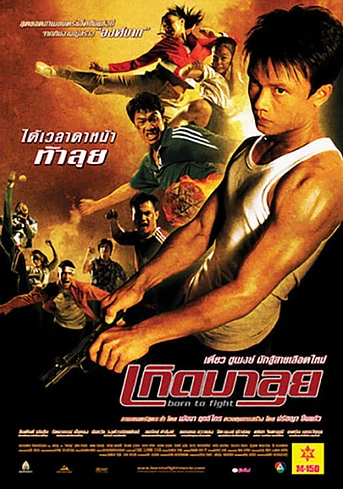 Poster de Born to fight