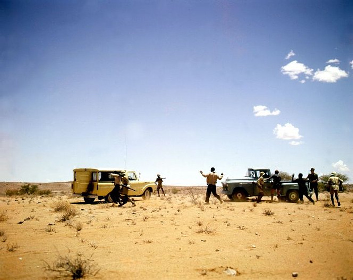 Imagen de Safari de Diamantes