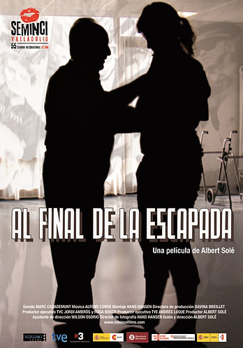 poster of content Al Final de la Escapada (2010)