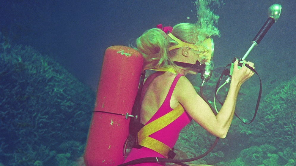 Imagen de Jugando con Tiburones