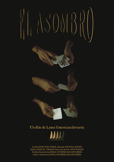 Imagen de el-asombro (Cartel)