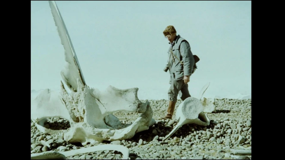 Imagen de the-faint-clatter-of-birds