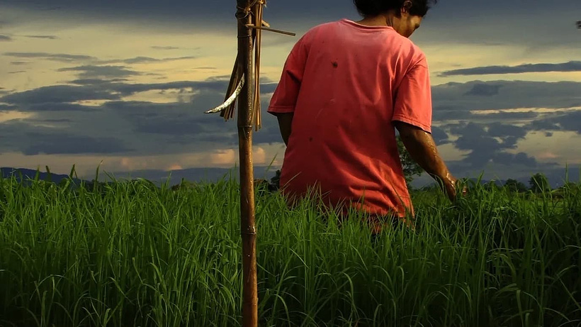 Imagen de Agrarian utopia