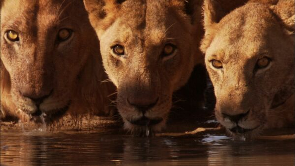 Imagen de Tierra