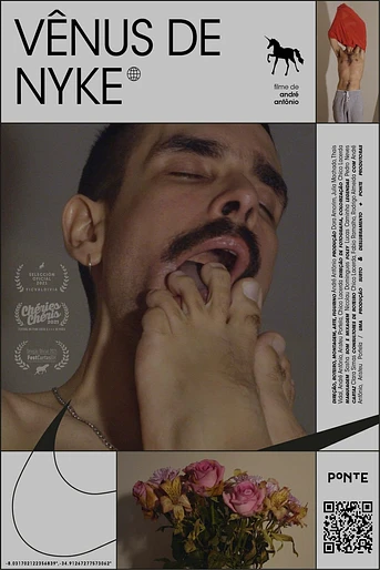 Poster de Venus in Nykes