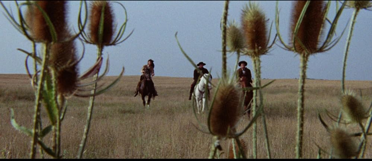 Imagen de yo-soy-vuestro-verdugo