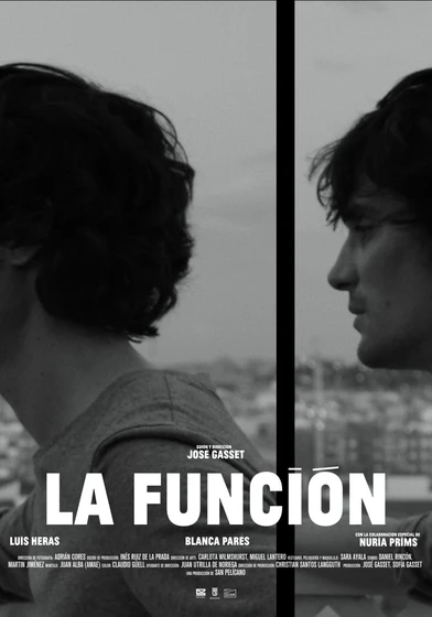 Imagen de la-funcion (Cartel español)