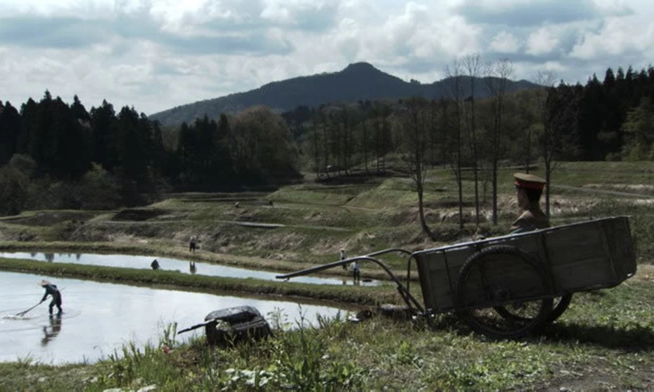 Imagen de caterpillar