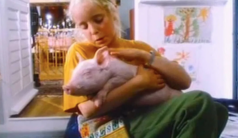 Imagen de Rudy, El Cerdito de Carreras