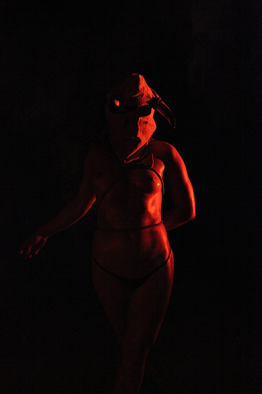 Imagen de Bite Horse
