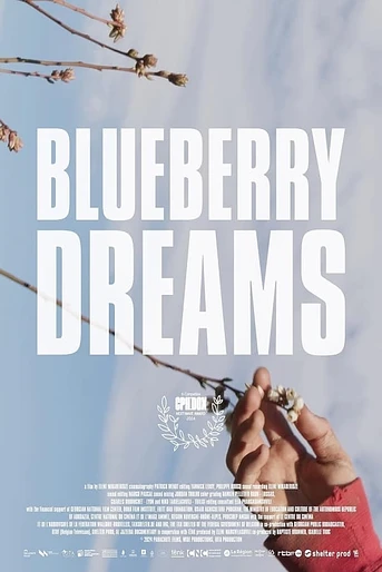 Poster de Blueberry Dreams