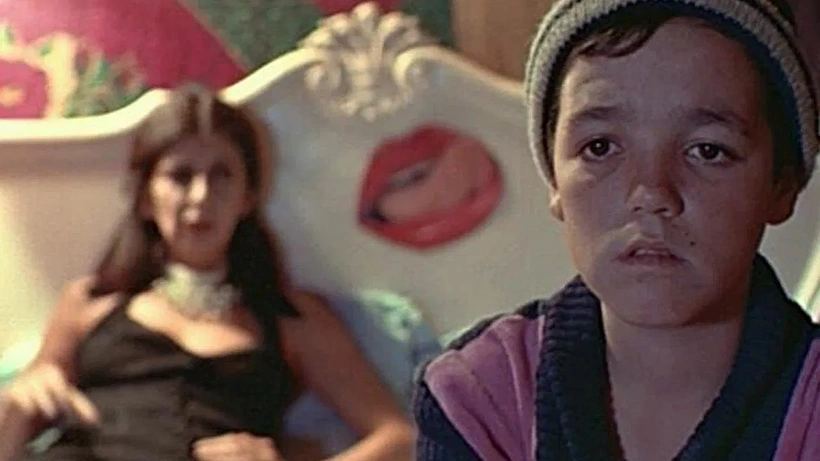 Imagen de ¿Quién Mató a Pixote?