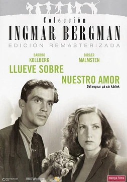 poster of movie Llueve sobre nuestro amor